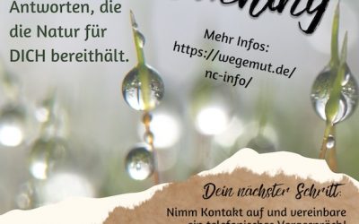 NaturCoaching Flyer